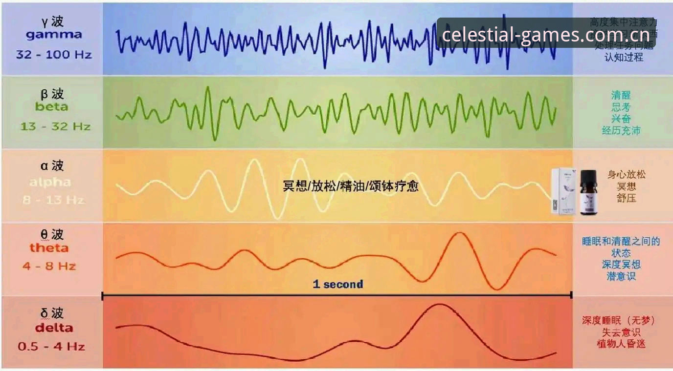 天行体育官方下载 天行体育平台功能详解与使用指南